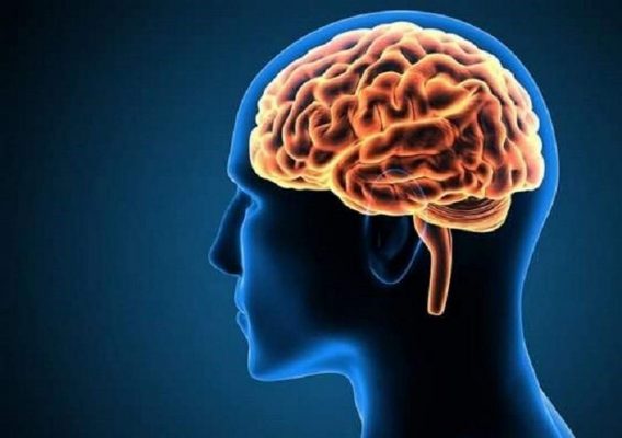 Lưu ý khi dùng thuốc bổ não