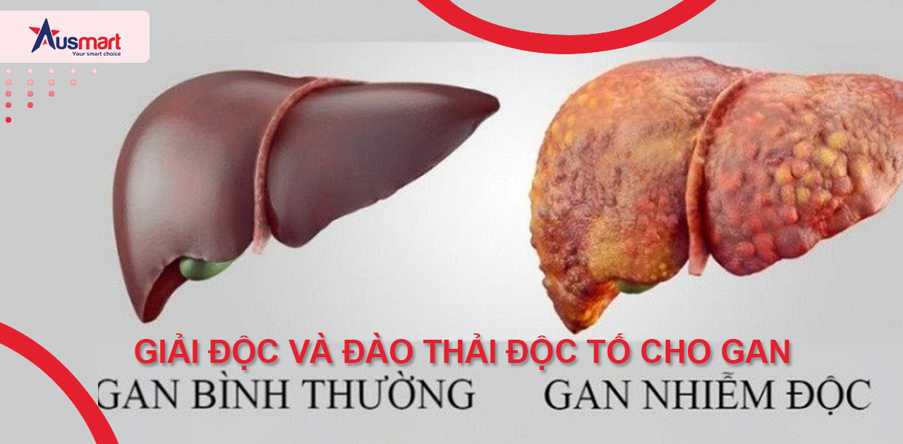 Thuốc Liver Detox có tác dụng gì?