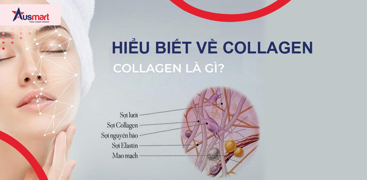 Hiểu biết về Collagen