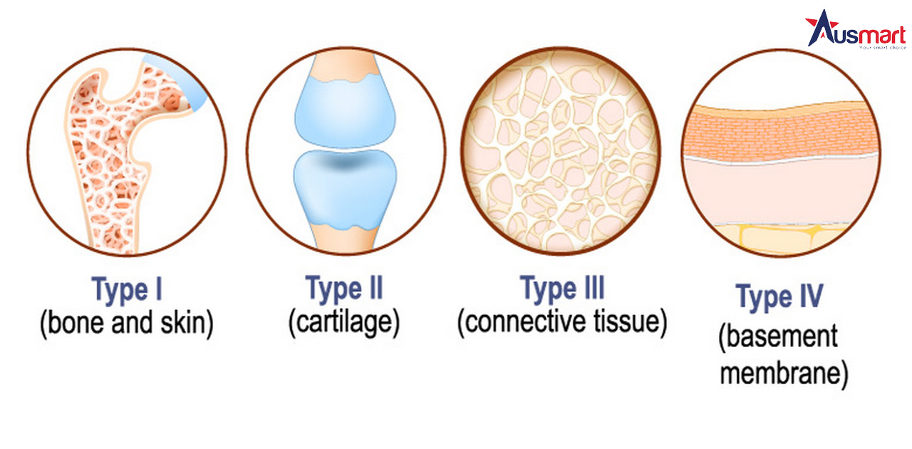 Hiểu về collagen và nguồn cung cấp collagen