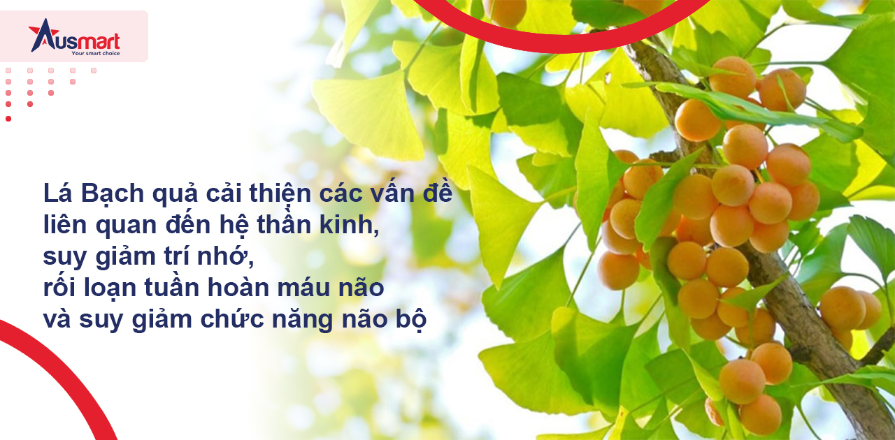 Thành phần của bổ não Blackmores Ginkgo Forte