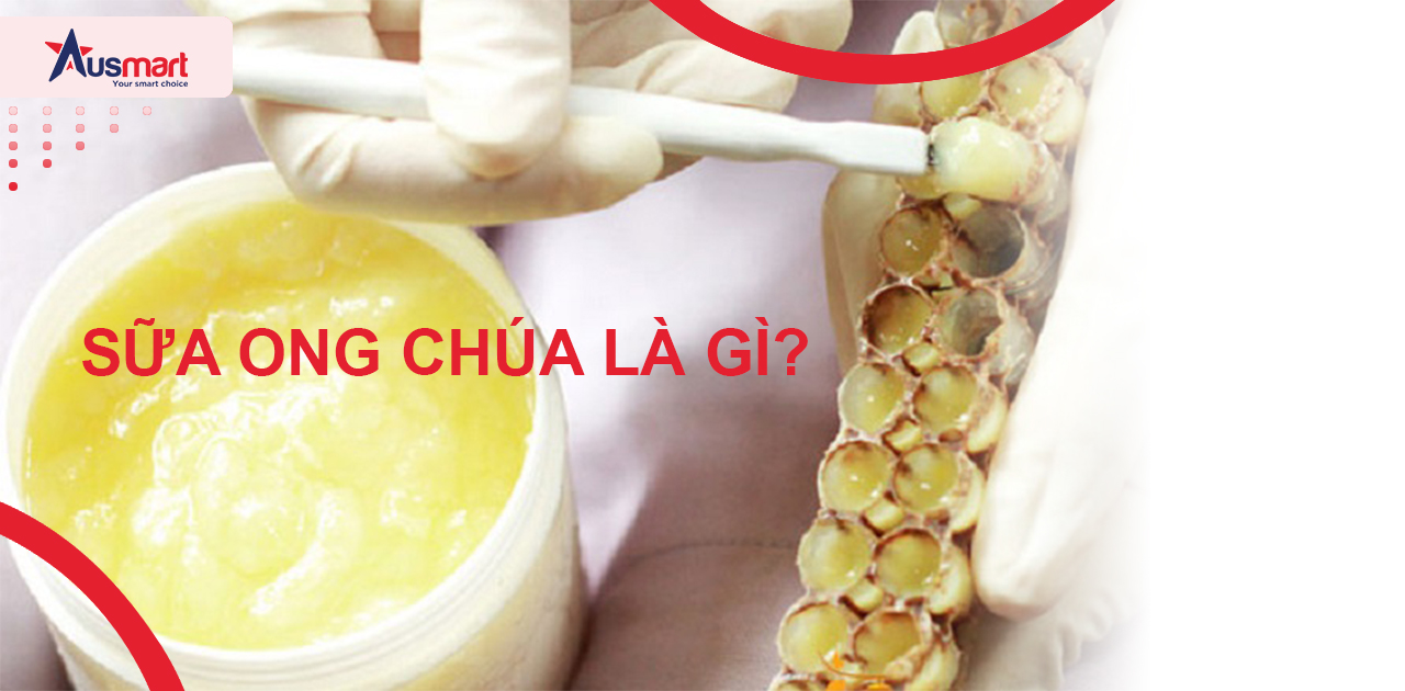 Sữa ong chúa là gì? Thành phần là gì?