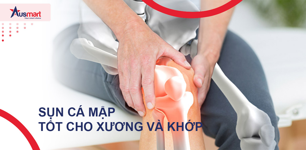 Tác Dụng Của Sụn Cá Mập Đối Với Sức Khỏe