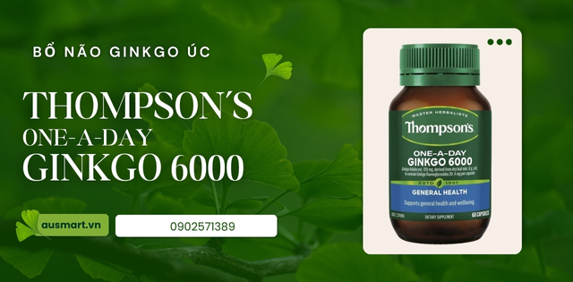 Công dụng của Ginkgo Biloba Thompson's one a day Ginkgo 6000 Công dụng của Ginkgo Biloba Thompson's one a day Ginkgo 6000
