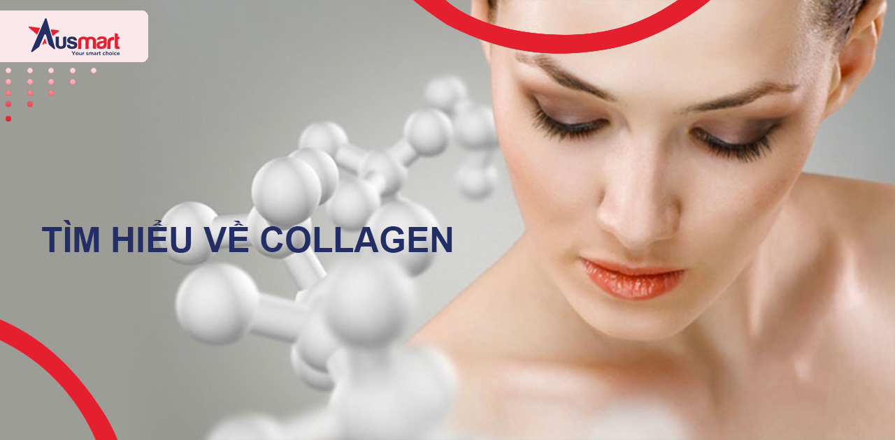 Tìm hiểu về Collagen