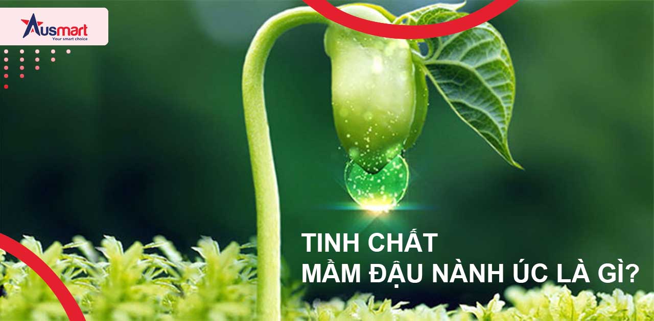 Tinh chất mầm đậu nành úc là gì?