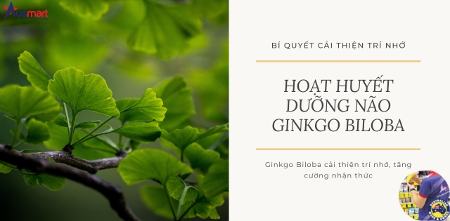 Hoạt huyết dưỡng não Gingo Biloba Hoạt huyết dưỡng não Gingo Biloba