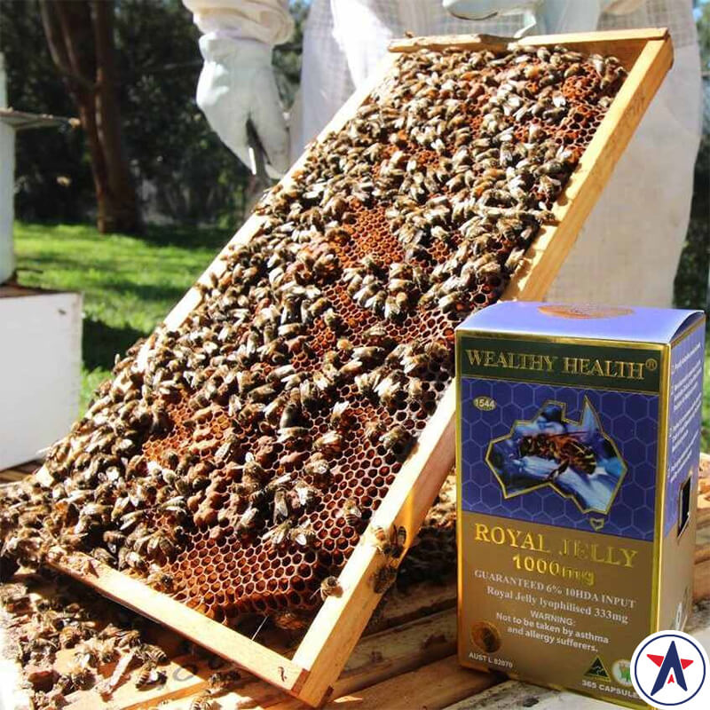 Sữa ong chúa Wealthy Health Royal Jelly 1000mg 365 viên