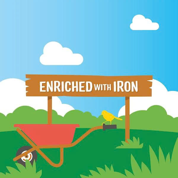 Bánh ăn dặm Raffertys Garden Blueberry & Banana tập nhai cho bé