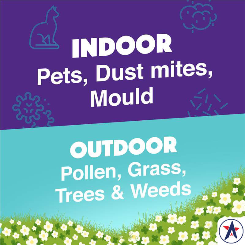 Xịt viêm mũi dị ứng Rhinocort Hayfever & Allergy Extra Strength