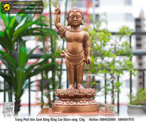 Tượng Phật Đản Sanh cao 60cm