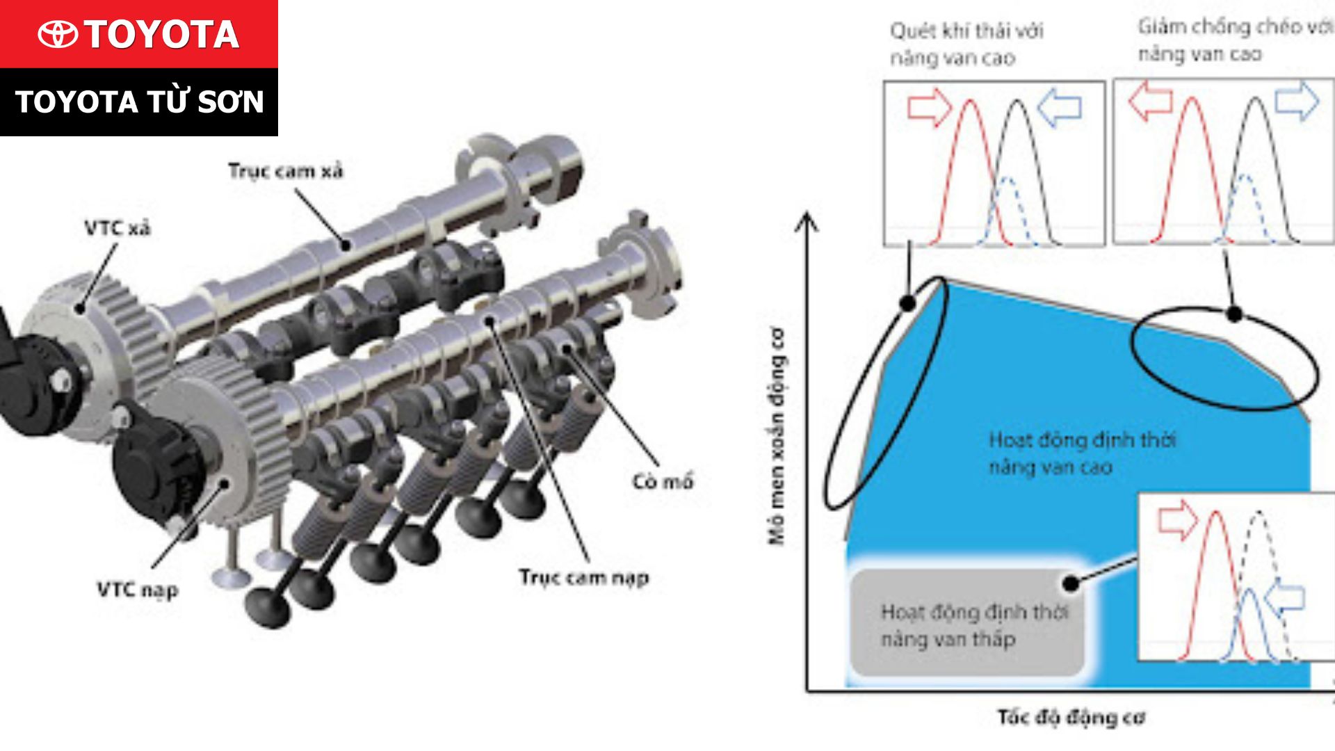 Cơ chế hoạt động của VVT-i Toyota (ảnh minh họa)
