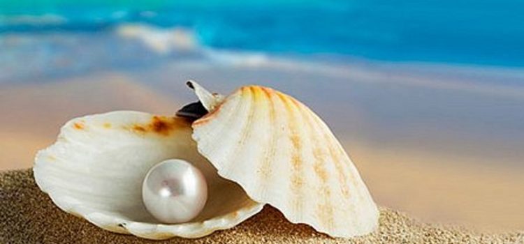 HẢI PHÒNG  - TP.HCM - CẦN THƠ - BẠC LIÊU - CÀ MAU - HÀ TIÊN - PHÚ QUỐC - HẢI PHÒNG 8 NGÀY 7 ĐÊM