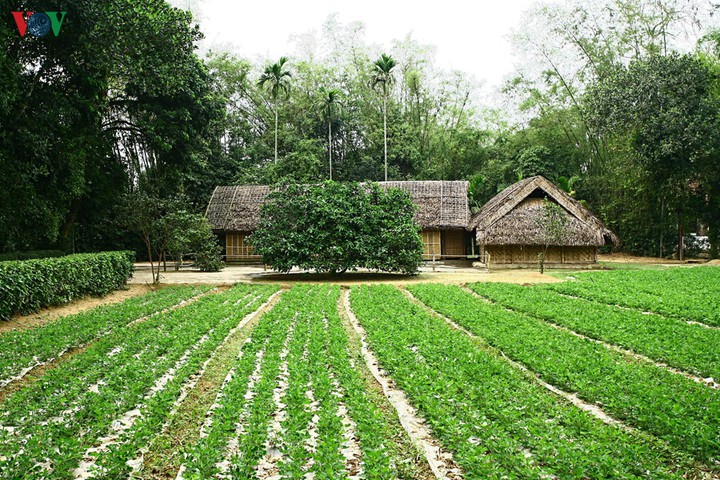 HẢI PHÒNG - MỘ CỤ GIÁP - ĐỘNG THIÊN ĐƯỜNG - NGHỆ AN QUÊ BÁC - HẢI PHÒNG 3 NGÀY 2 ĐÊM
