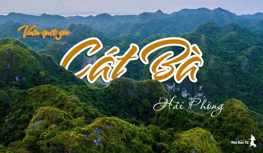 TOUR TREKKING VƯỜN QUỐC GIA CÁT BÀ 4 TIẾNG