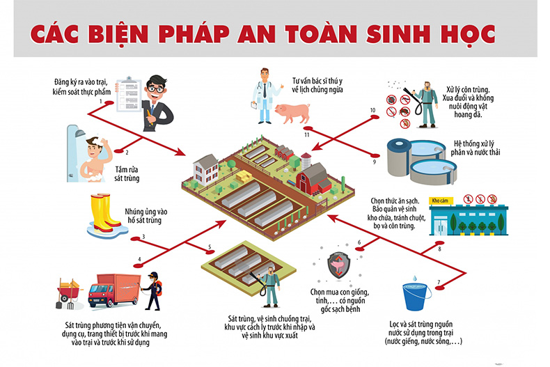 An toàn sinh học trong chăn nuôi sinh thái. An toàn sinh học trong chăn nuôi sinh thái.