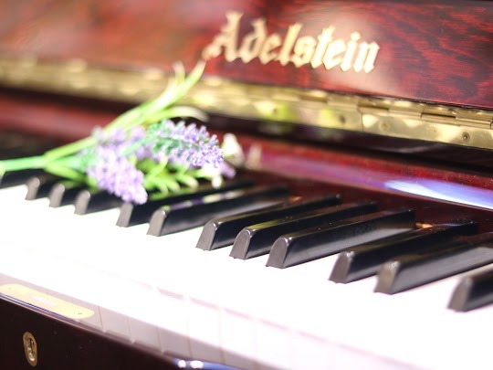 HỌC PIANO CHO NGƯỜI MỚI BẮT ĐẦU CÓ KHÓ KHÔNG?