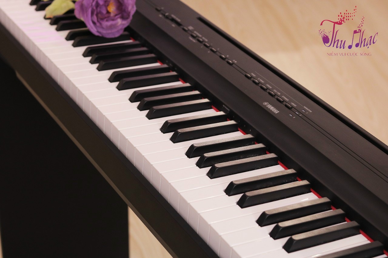 4 mẫu đàn piano yamaha cho người mới học quận Tân Phú