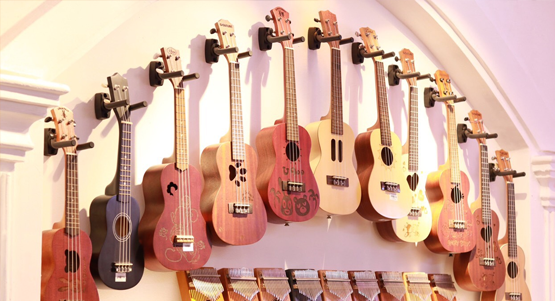 TRUNG TÂM DẠY ĐÀN UKULELE UY TÍN QUẬN 6 TP. HCM | THU NHẠC