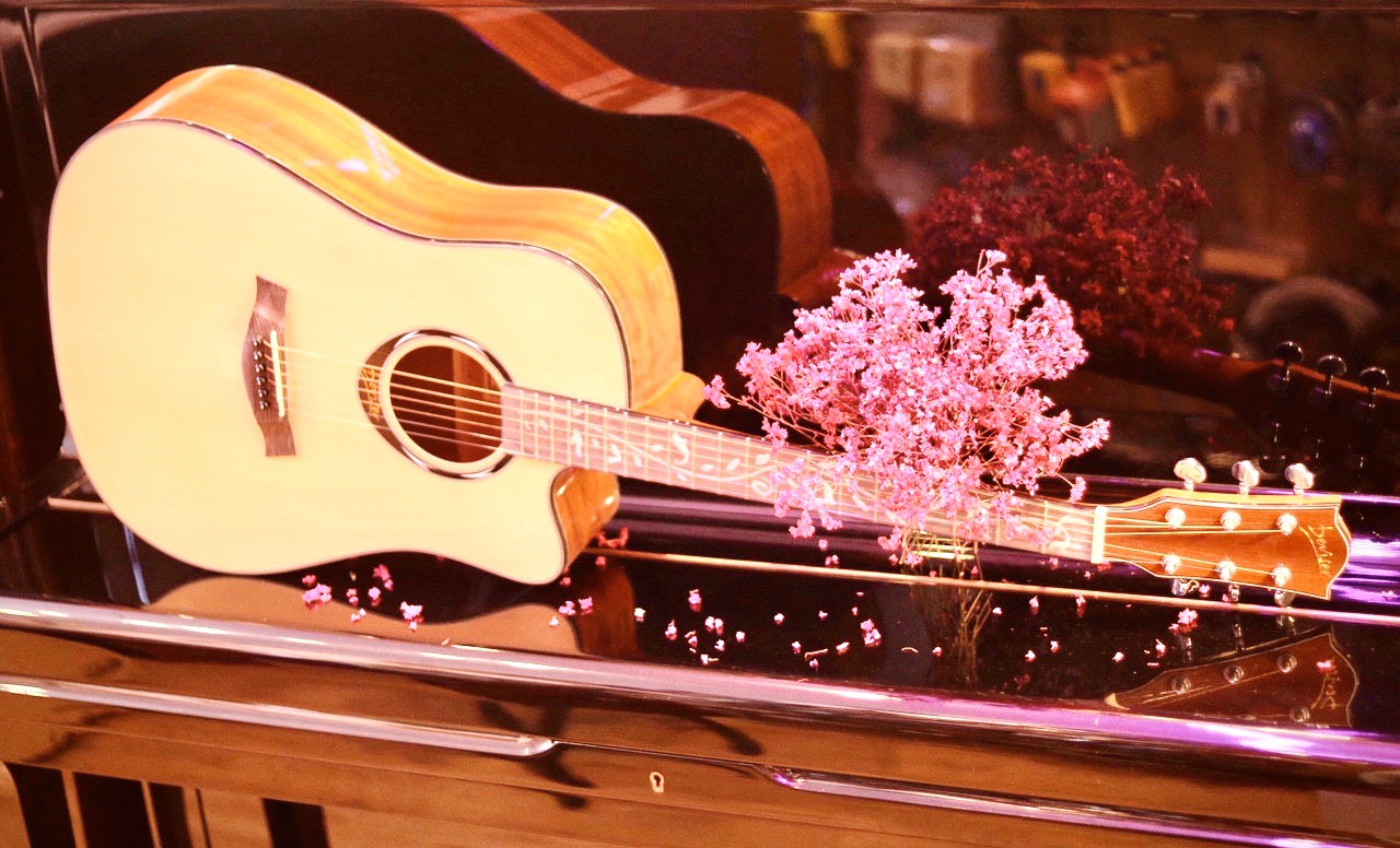 Gợi ý cửa hàng mua guitar uy tín giá rẻ tại Tân Phú TP. HCM | THU NHẠC