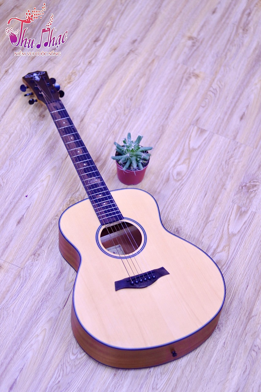 MUA GUITAR GIÁ RẺ VÀ CAO CẤP TẠI BÌNH CHÁNH TPHCM | THU NHẠC