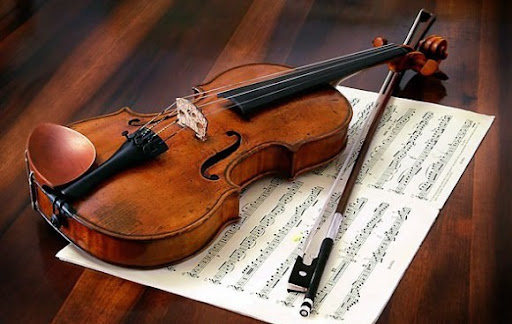 Địa chỉ mua đàn violin cho trẻ em tại quận 7 TPHCM chính hãng