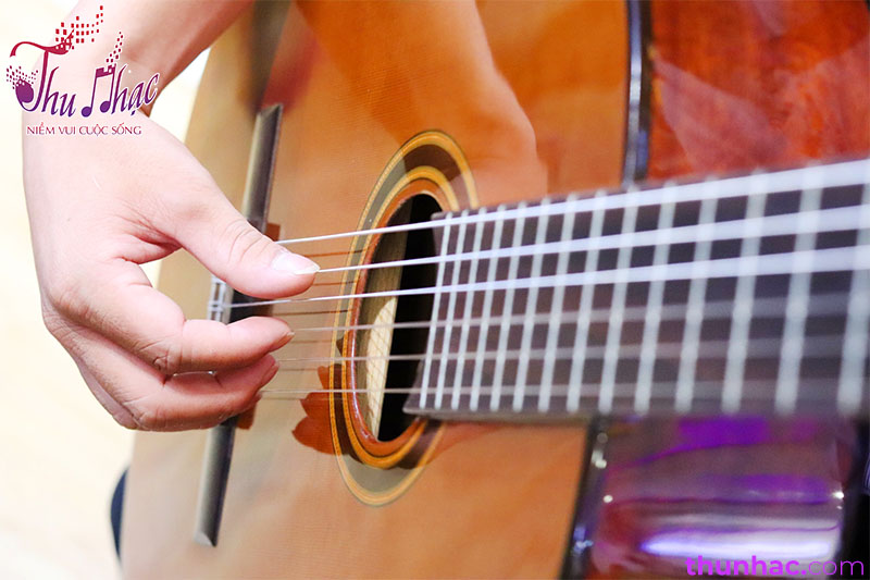 ĐỊA ĐIỂM MUA GUITAR CHO NGƯỜI MỚI HỌC TẠI QUẬN BÌNH TÂN | THU NHẠC