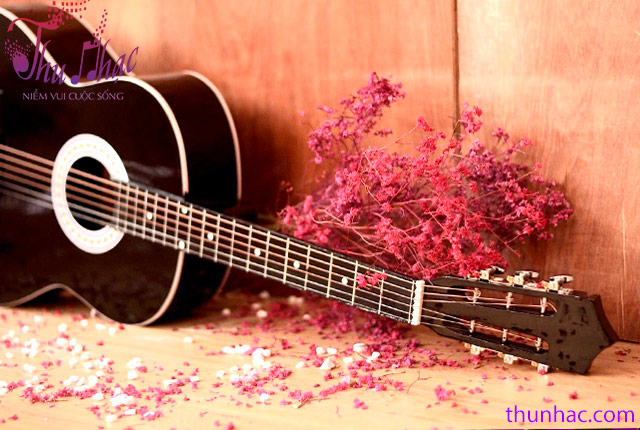 MUA GUITAR CHO NGƯỜI MỚI BẮT ĐẦU TẠI QUẬN 6 TP. HCM | THU NHẠC