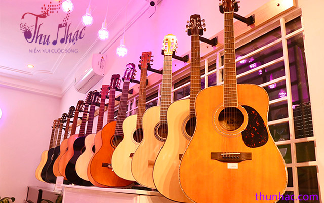 SHOP BÁN UKULELE Ở QUẬN 11 TP. HCM | TRUNG TÂM ÂM NHẠC THU NHẠC