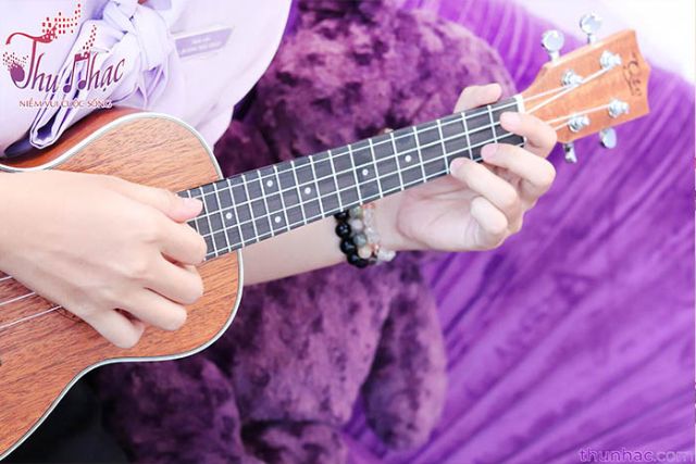 Lớp học đàn ukulele đệm hát cấp tốc tại quận Tân Phú tốt nhất