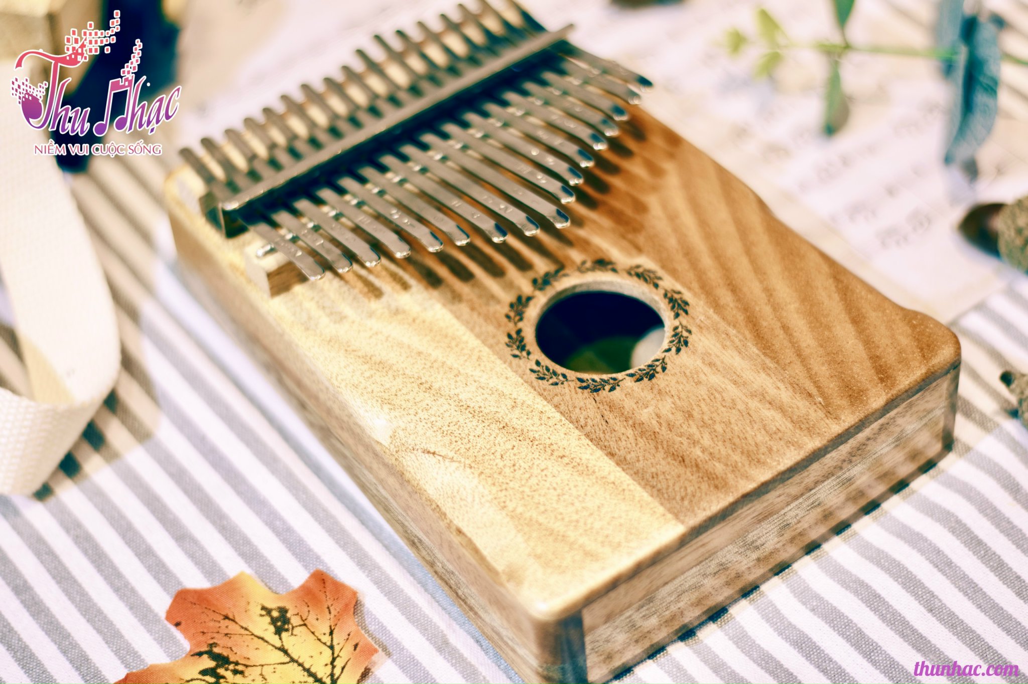 Shop đàn Kalimba gỗ, đàn Kalimba màu quận 4 chính hãng