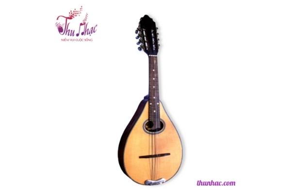 Mua đàn mandoline (măng cầm) tại quận Tân Phú chất lượng tốt