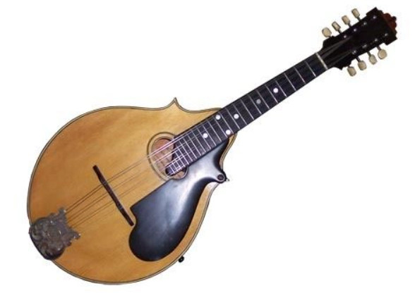 SHOP ĐÀN MANDOLIN (MĂNG CẦM) QUẬN 11 TPHCM