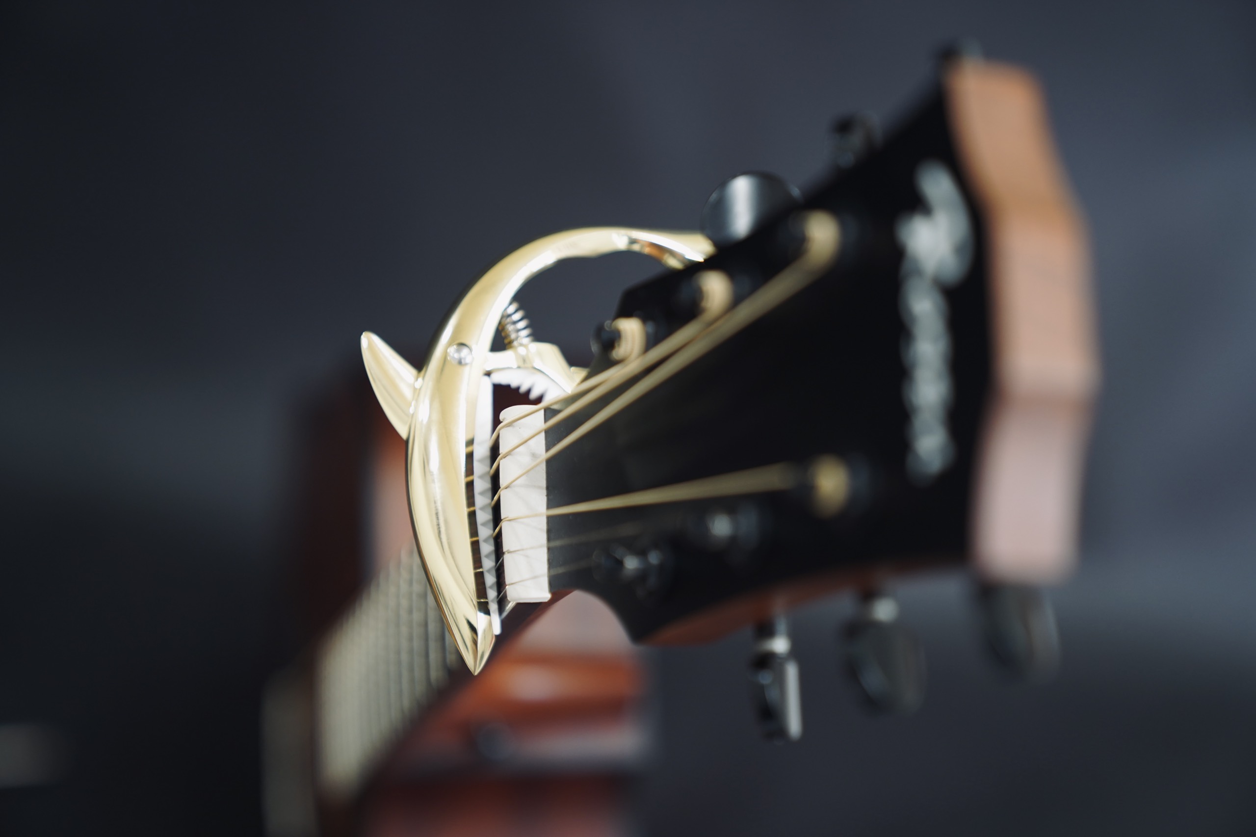 Mua phụ kiện đàn guitar quận 2 (capo, dây guitar) giá rẻ chất lượng
