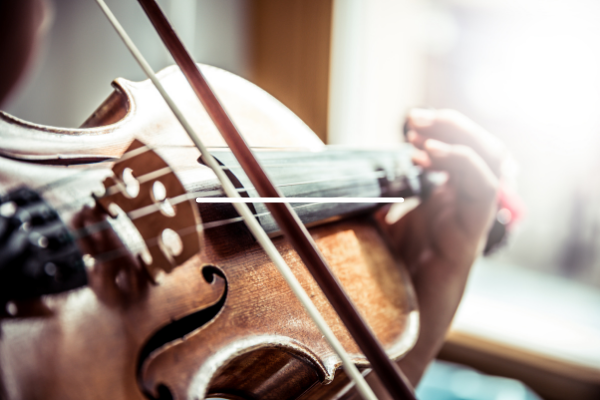 Shop đàn violin chính hãng, chất lượng quận 1 TPHCM
