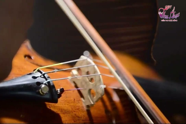 Dịch vụ bảo dưỡng - sửa violin tại Tân Sơn Nhì TPHCM
