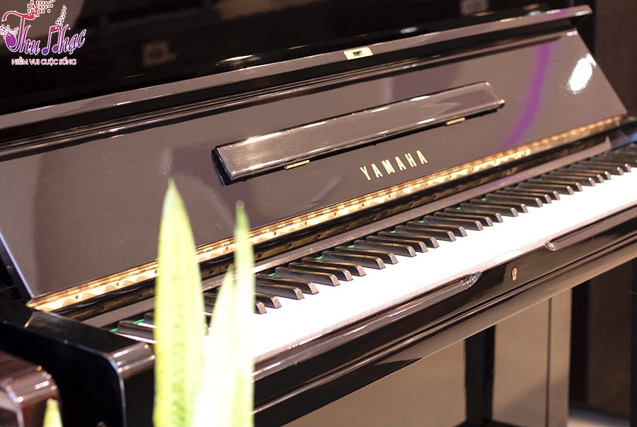 ĐỊA ĐIỂM SỬA CHỮA ĐÀN PIANO UY TÍN GIÁ TỐT TPHCM