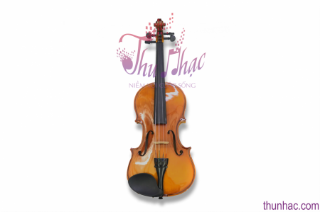 TẠI SAO PHẢI CHO BÉ HỌC ĐÀN VIOLIN?- THU NHẠC