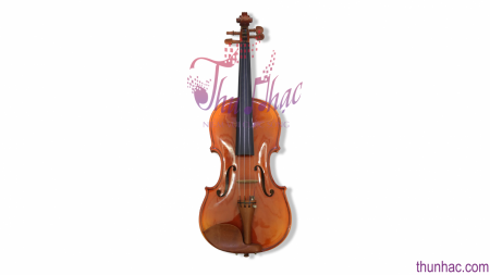 MUA ĐÀN VIOLIN UY TÍN CHÍNH HÃNG Ở ĐÂU TẠI QUẬN 10 TP. HCM