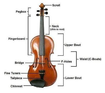 Tìm hiểu về đàn violin