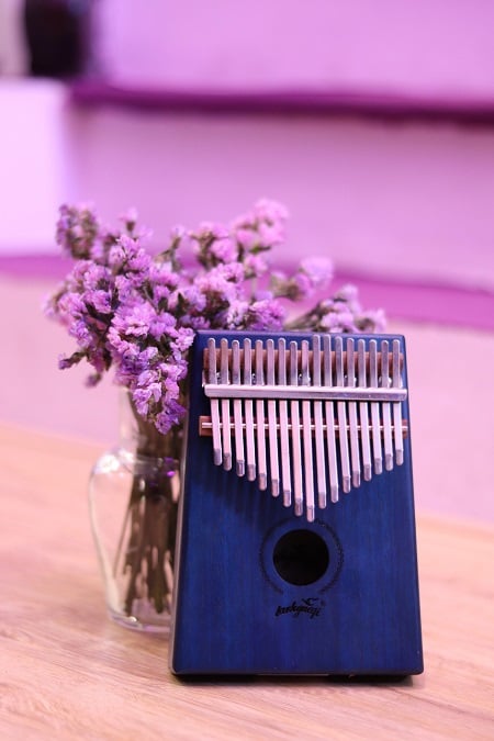 Đàn kalimba tại Thu Nhạc quận Tân Phú