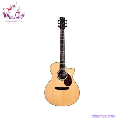 Guitar acoustic Enya Q1 Pro phù hợp với đối tượng nào?
