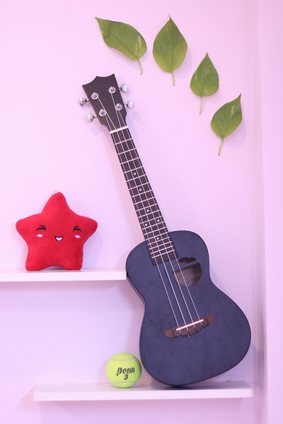 Đàn ukulele quận Tân Phú TP HCM