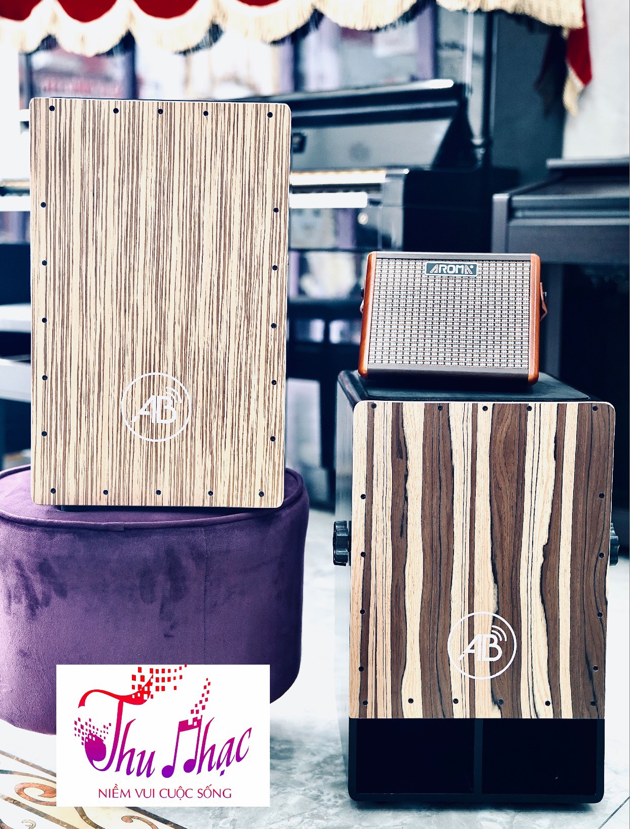  học đánh cajon online uy tín giá rẻ 