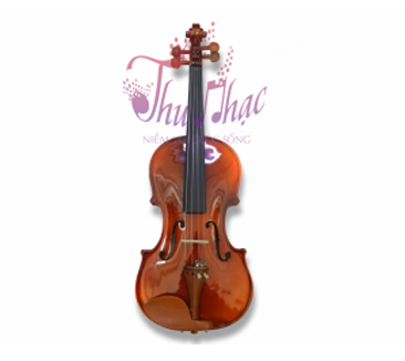 Mua đàn violin SHIFEN SV401