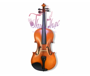 Mua đàn violin JIANGSU