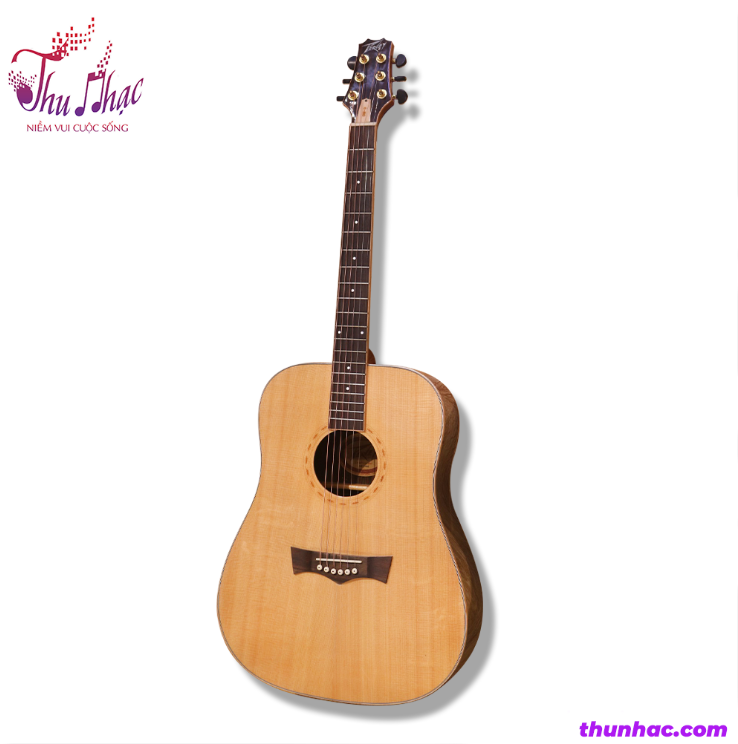 Mua đàn guitar acoustic peavey DW3 giá tốt 