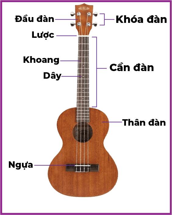 Cấu tạo đàn ukulele quận 12 chất lượng cao