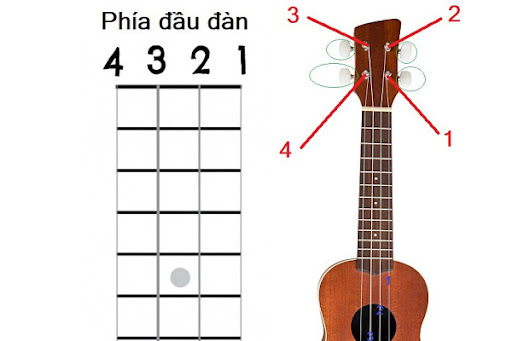 Số dây đàn ukulele