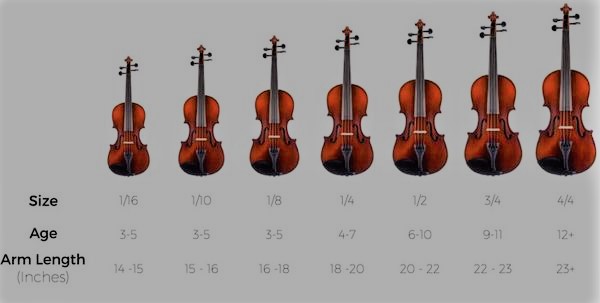 Các size đàn violin?